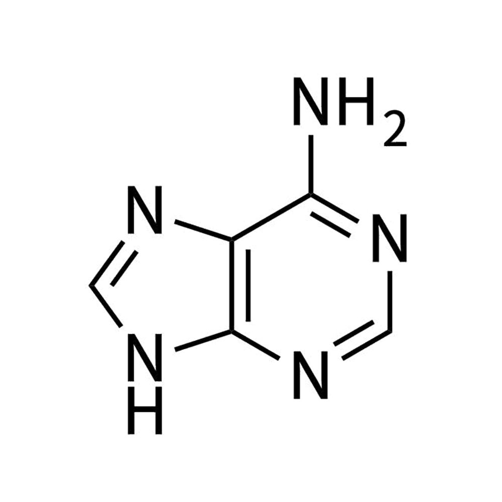 腺嘌呤