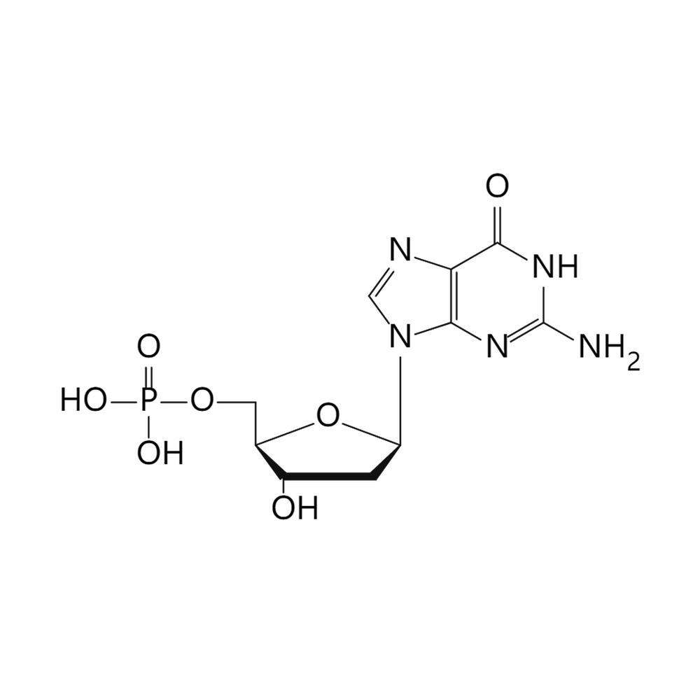 2‘-脱氧鸟苷酸