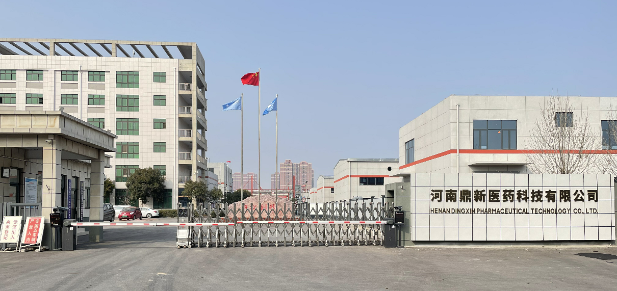 河南鼎新医药科技有限公司 2025年度固体废物信息公示